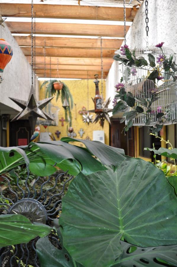 تولوكا Hotel Tolotzin المظهر الخارجي الصورة